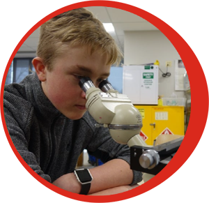 Child Viewing Microscope